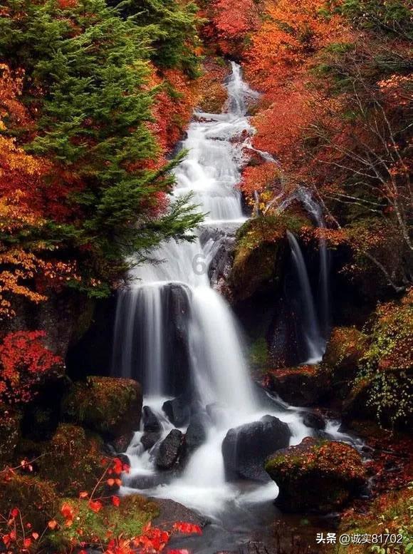 莫雷岛逃脱